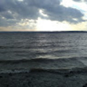 Meet your Posher, Otis